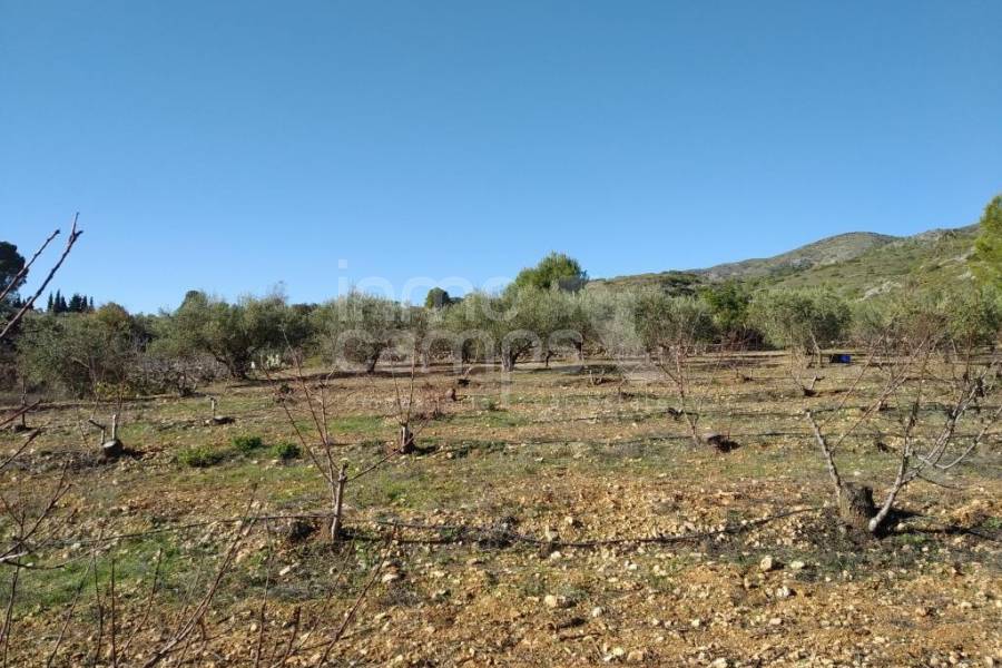 Te koop - Landhuis - Ontinyent