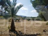 Te koop - Finca - Ontinyent