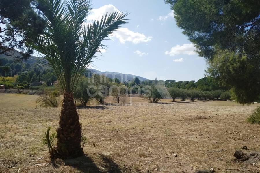 Te koop - Finca - Ontinyent