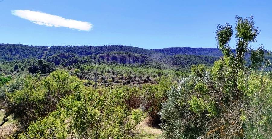 For sale - Finca - Alcoy