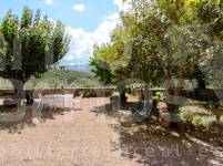 For sale - Finca - Millena