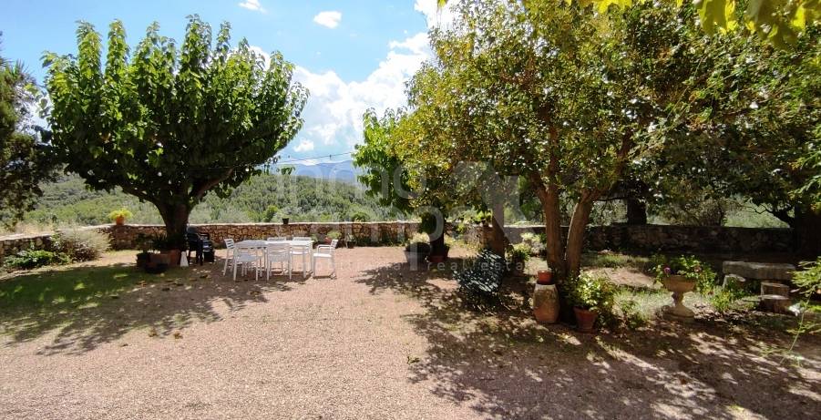 For sale - Finca - Millena