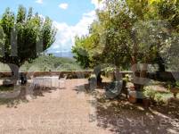 Venta - Finca - Millena