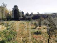 Venta - Finca - Muro de Alcoy