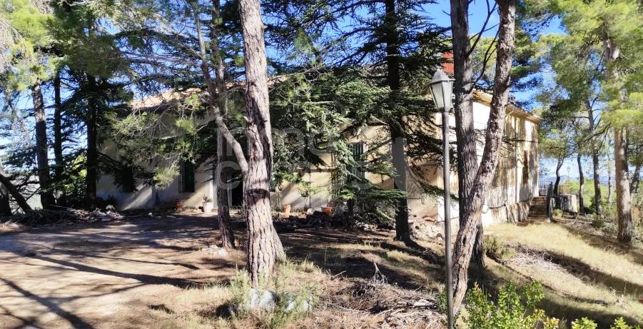 Te koop - Finca - Alcoy