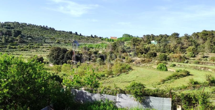 Venta - Finca - Penáguila