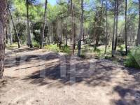 Venta - Casa de Campo - Alcoy