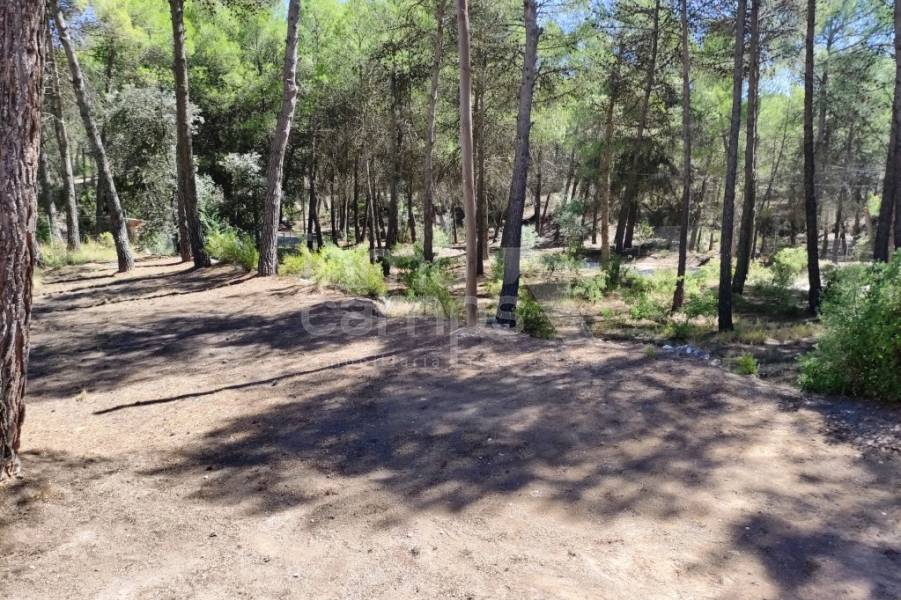 Venta - Casa de Campo - Alcoy