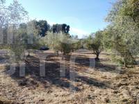 Venta - Casa de Campo - Ontinyent