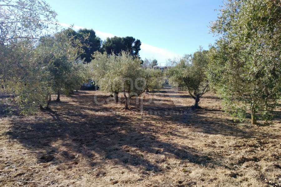 Venta - Casa de Campo - Ontinyent