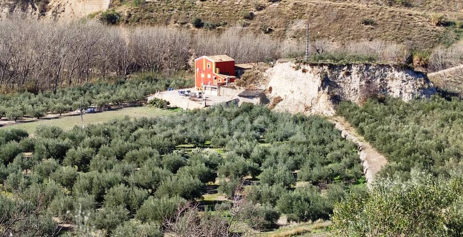 Te koop - Finca - Alcoy