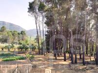 For sale - Finca - Bocairent