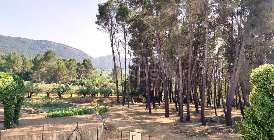 For sale - Finca - Bocairent