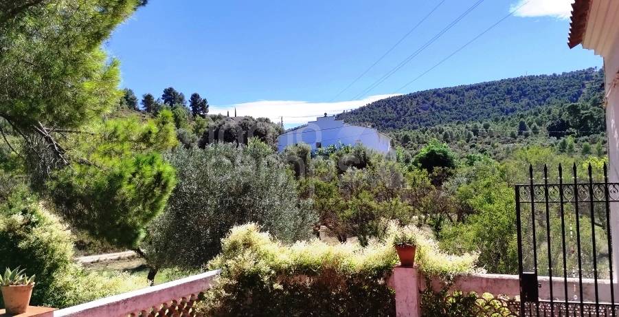 For sale - Finca - Alcoy