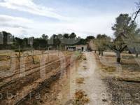 Venta - Casa de Campo - Ontinyent