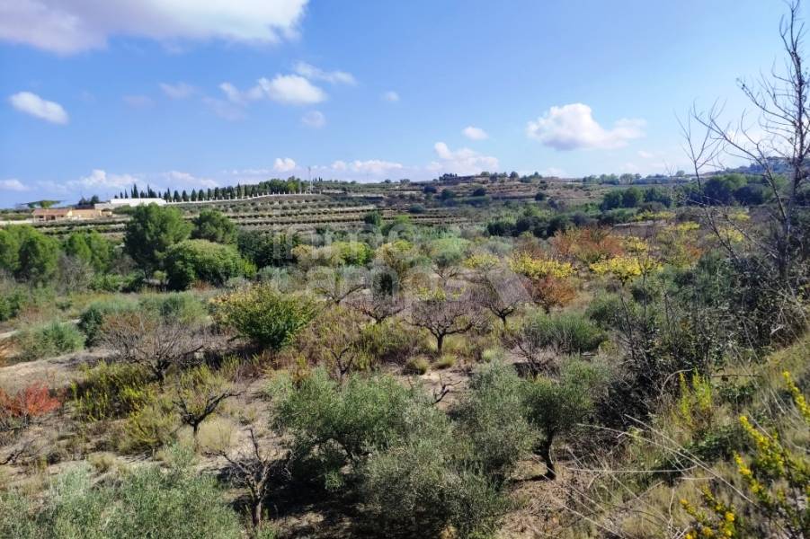 Venta - Casa de Campo - Albaida
