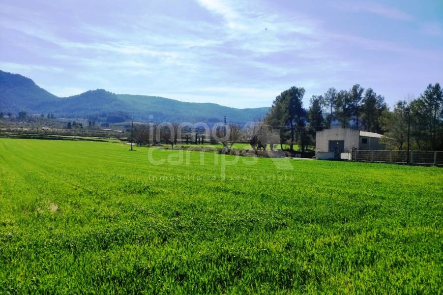 For sale - Finca - Alfafara