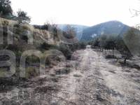 For sale - Rustic Land - Benifallim