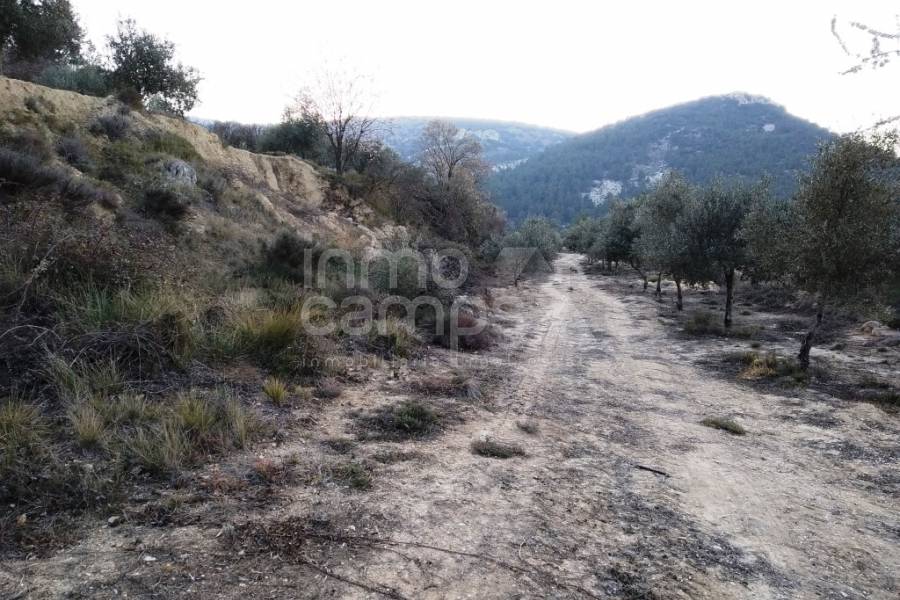 For sale - Rustic Land - Benifallim