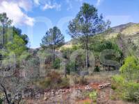 Venta - Casa de Campo - Villalonga