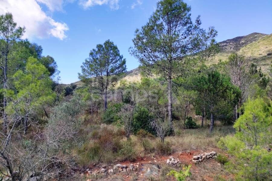 Venta - Casa de Campo - Villalonga