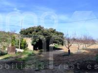 Venta - Finca - Albaida