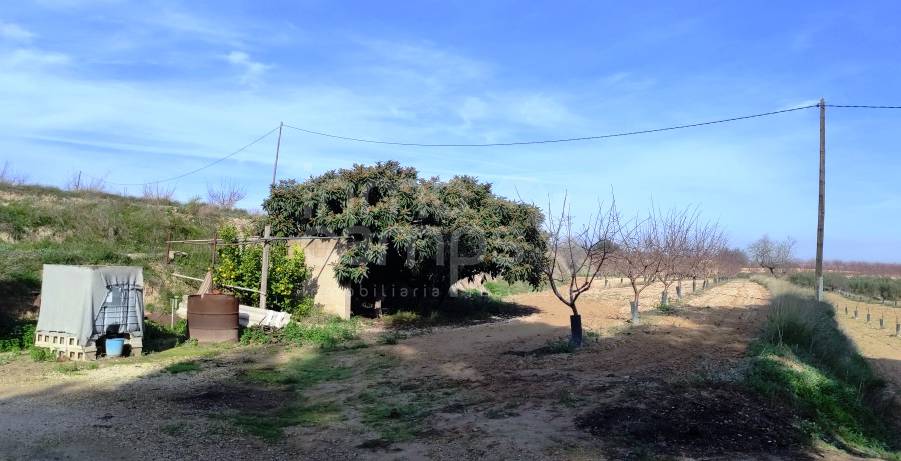 Te koop - Finca - Albaida