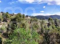 For sale - Rustic Land - Penáguila