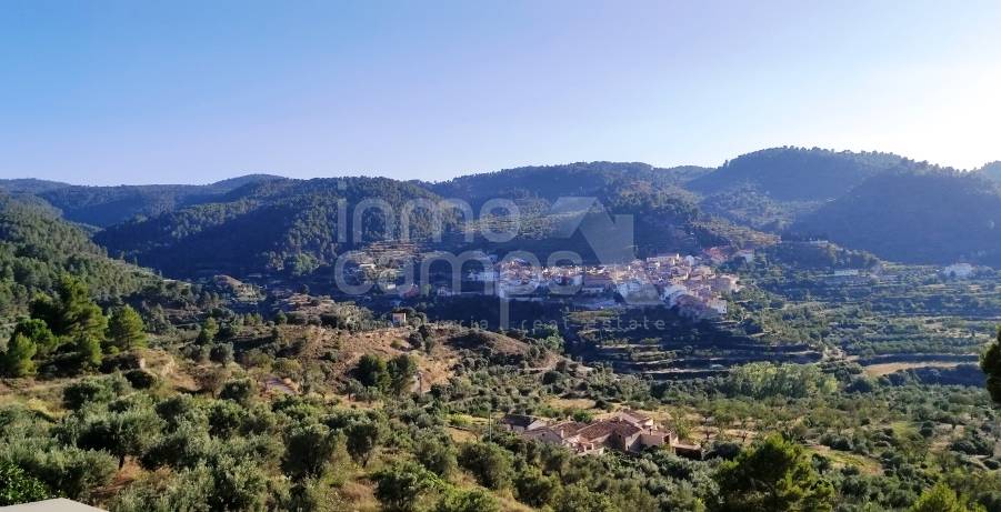 Te koop - Landhuis - Benasau