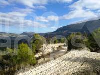 For sale - Rustic Land - Benillup