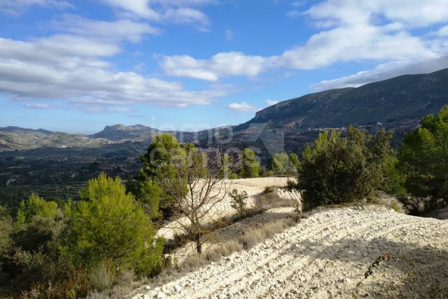 For sale - Rustic Land - Benillup