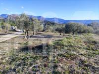 For sale - Country House - Millena