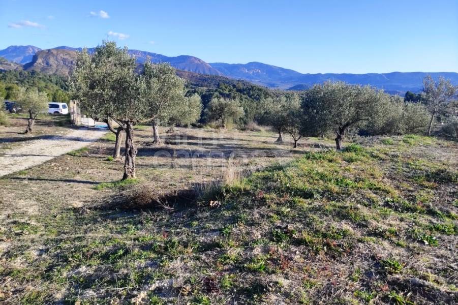 For sale - Country House - Millena