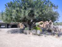Te koop - Landhuis - Ontinyent