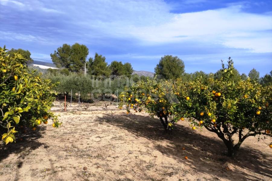 For sale - Country House - Ontinyent