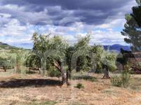 Venta - Casa de Campo - Muro de Alcoy