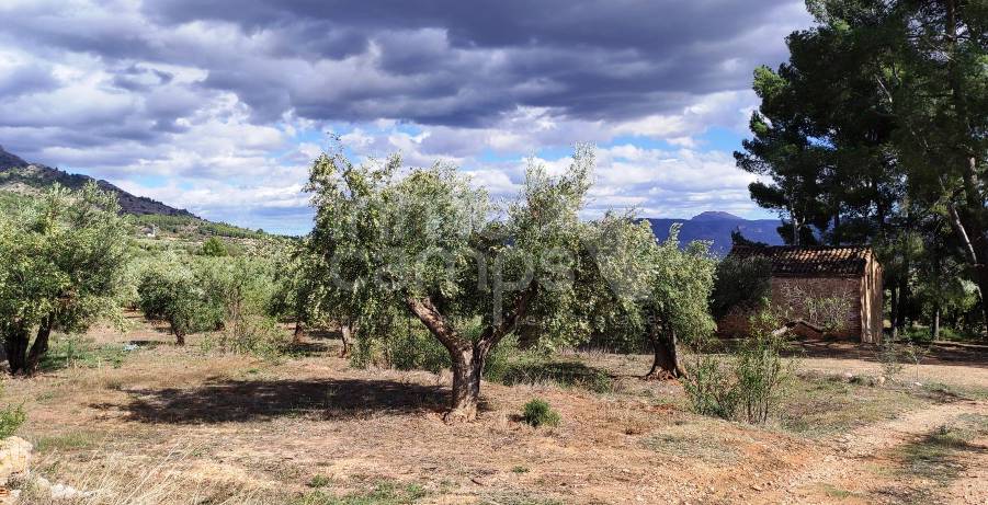 Venta - Casa de Campo - Muro de Alcoy