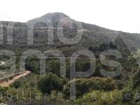 Venta - Casa de Campo - Tarbena - Pueblo