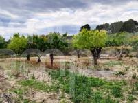 Venta - Finca - Millena