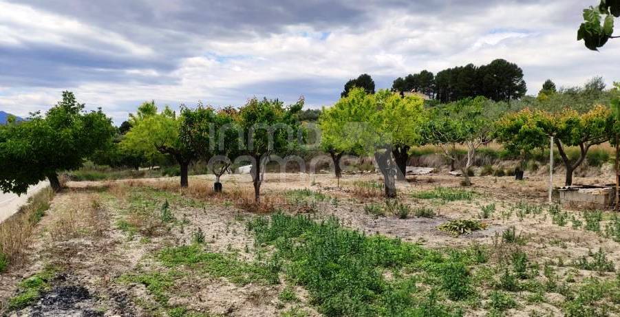 Venta - Finca - Millena