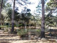 Venta - Chalet - Alcoy