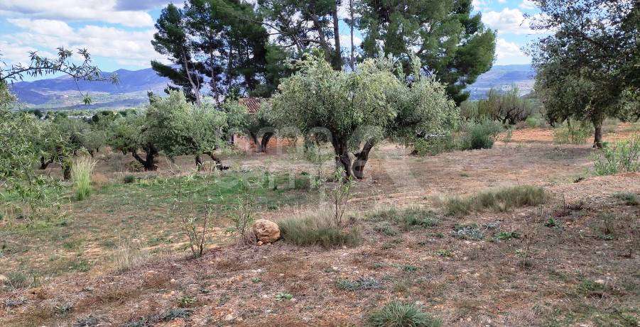 Venta - Casa de Campo - Muro de Alcoy