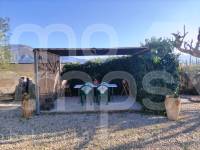 Te koop - Villa - Gorga