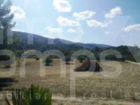 Te koop - Finca - Ontinyent