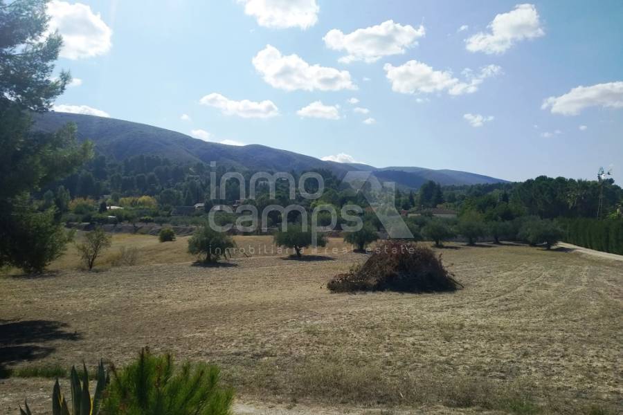 Te koop - Finca - Ontinyent