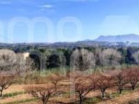 Venta - Finca - Albaida