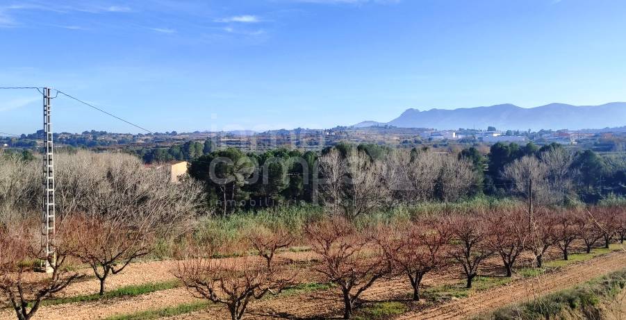 Venta - Finca - Albaida