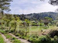 Venta - Finca - Penáguila