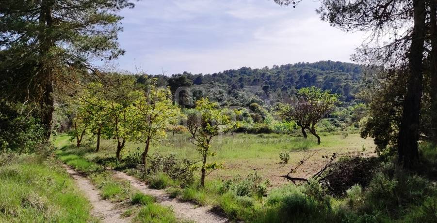 Te koop - Finca - Penáguila