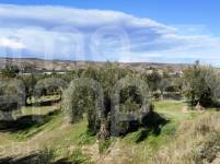 For sale - Finca - Bocairent